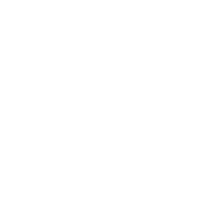 growth icon